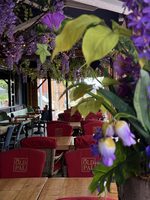 Het overdekte terras bij feestzaal Oud Vrienden, met blauweregen en lichtjes boven de tafels